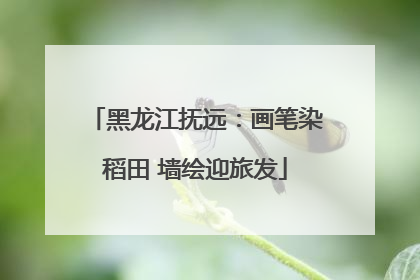 黑龙江抚远：画笔染稻田 墙绘迎旅发