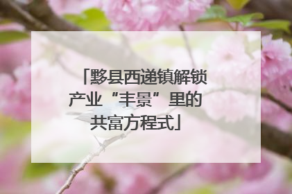 黟县西递镇解锁产业“丰景”里的共富方程式