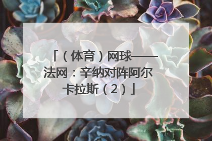 （体育）网球——法网：辛纳对阵阿尔卡拉斯（2）