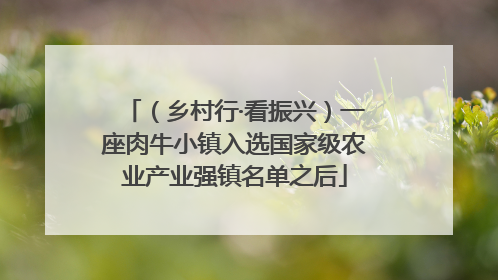 （乡村行·看振兴）一座肉牛小镇入选国家级农业产业强镇名单之后
