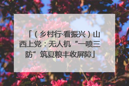 （乡村行·看振兴）山西上党：无人机“一喷三防”筑夏粮丰收屏障