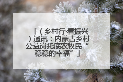 （乡村行·看振兴）通讯：内蒙古乡村公益岗托底农牧民“稳稳的幸福”