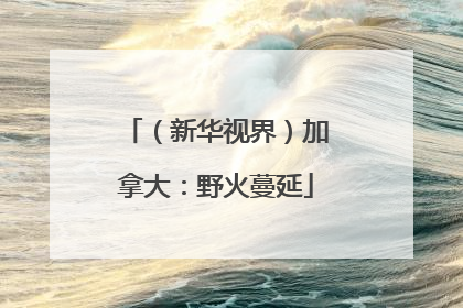（新华视界）加拿大：野火蔓延