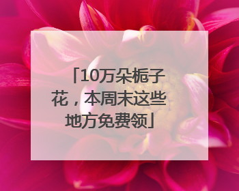 10万朵栀子花，本周末这些地方免费领