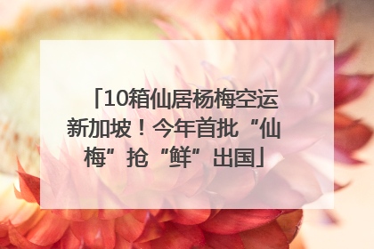 10箱仙居杨梅空运新加坡！今年首批“仙梅”抢“鲜”出国
