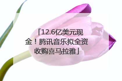 12.6亿美元现金！腾讯音乐拟全资收购喜马拉雅