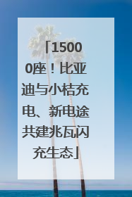 15000座！比亚迪与小桔充电、新电途共建兆瓦闪充生态