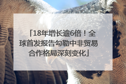 18年增长逾6倍！全球首发报告勾勒中非贸易合作格局深刻变化