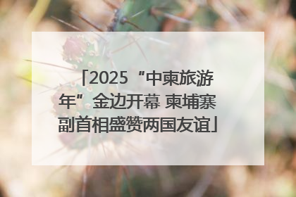 2025“中柬旅游年”金边开幕 柬埔寨副首相盛赞两国友谊