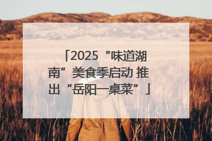2025“味道湖南”美食季启动 推出“岳阳一桌菜”