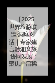 2025世界旅游联盟·洞庭对话｜专家建言黔湘文旅协同发展：聚焦产品稀缺性 深化区域经验共享