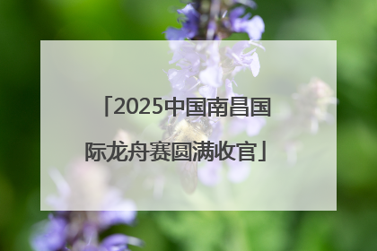 2025中国南昌国际龙舟赛圆满收官