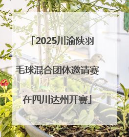 2025川渝陕羽毛球混合团体邀请赛在四川达州开赛