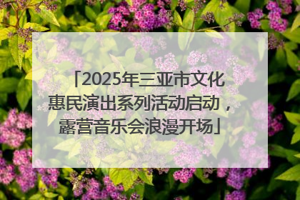 2025年三亚市文化惠民演出系列活动启动，露营音乐会浪漫开场