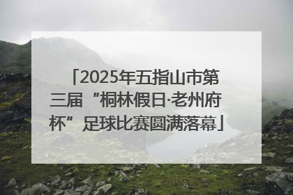 2025年五指山市第三届“桐林假日·老州府杯”足球比赛圆满落幕