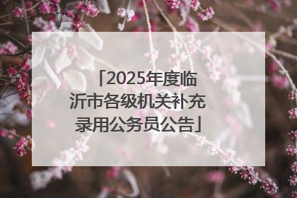 2025年度临沂市各级机关补充录用公务员公告