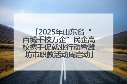 2025年山东省“百城千校万企”民企高校携手促就业行动暨潍坊市职教活动周启动