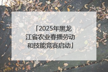 2025年黑龙江省农业春播劳动和技能竞赛启动
