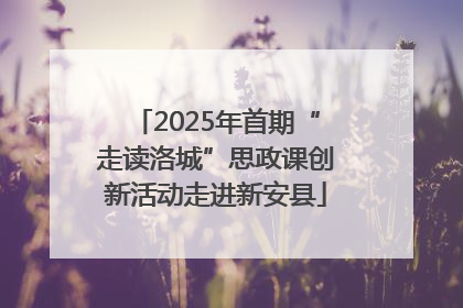2025年首期“走读洛城”思政课创新活动走进新安县