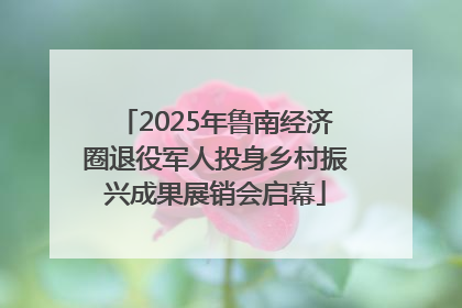 2025年鲁南经济圈退役军人投身乡村振兴成果展销会启幕