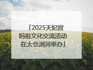 2025天妃宫妈祖文化交流活动在太仓浏河举办