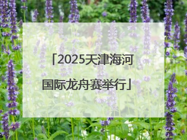 2025天津海河国际龙舟赛举行