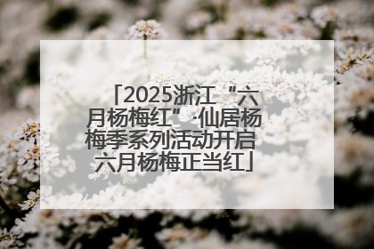 2025浙江“六月杨梅红”·仙居杨梅季系列活动开启 六月杨梅正当红