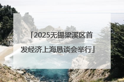 2025无锡梁溪区首发经济上海恳谈会举行