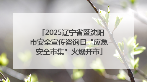 2025辽宁省暨沈阳市安全宣传咨询日“应急安全市集”火爆开市