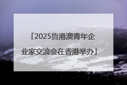 2025鲁港澳青年企业家交流会在香港举办