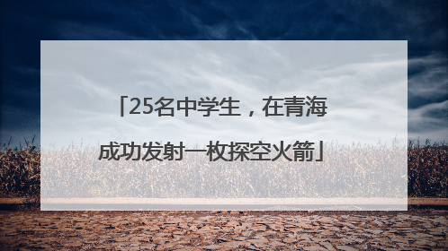 25名中学生，在青海成功发射一枚探空火箭