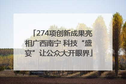 274项创新成果亮相广西南宁 科技“盛宴”让公众大开眼界