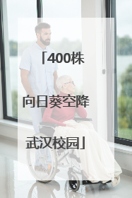400株向日葵空降武汉校园