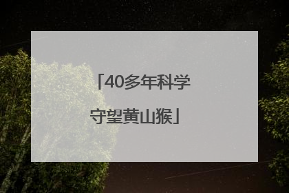 40多年科学守望黄山猴
