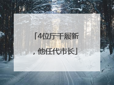 4位厅干履新，他任代市长