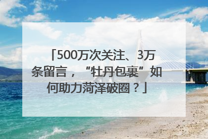 500万次关注、3万条留言，“牡丹包裹”如何助力菏泽破圈？