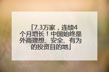 7.3万家，连续4个月增长！中国始终是外商理想、安全、有为的投资目的地