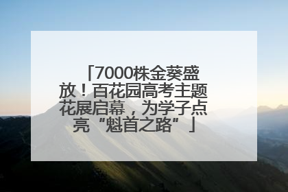 7000株金葵盛放！百花园高考主题花展启幕，为学子点亮“魁首之路”