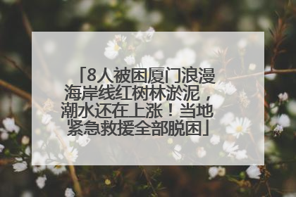 8人被困厦门浪漫海岸线红树林淤泥，潮水还在上涨！当地紧急救援全部脱困
