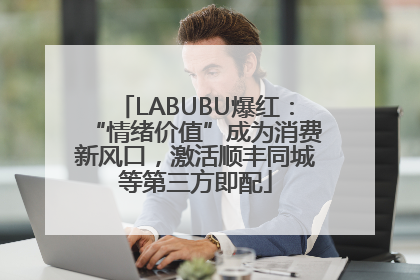 LABUBU爆红：“情绪价值”成为消费新风口，激活顺丰同城等第三方即配