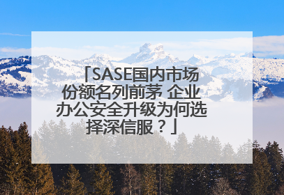 SASE国内市场份额名列前茅 企业办公安全升级为何选择深信服？